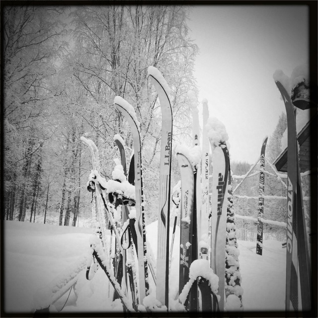 Skis by the cabin