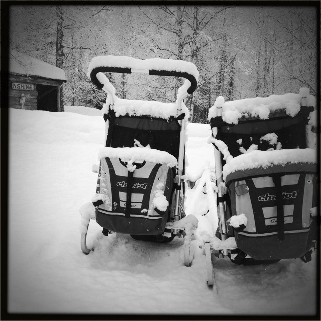 Baby chariots covered in snow!